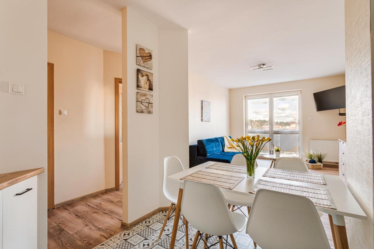 Apartament Apartament u Andzi Stegna  Zewnętrze zdjęcie